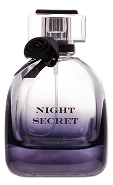 NIGHT SECRET